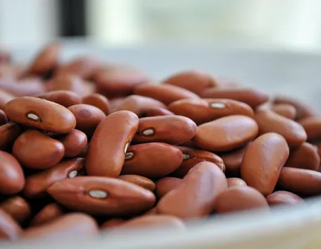 fagioli