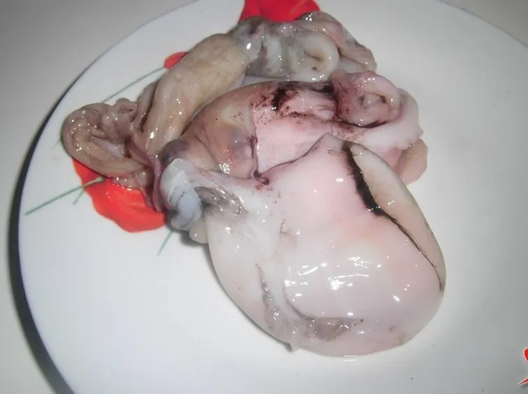 ingredienti
