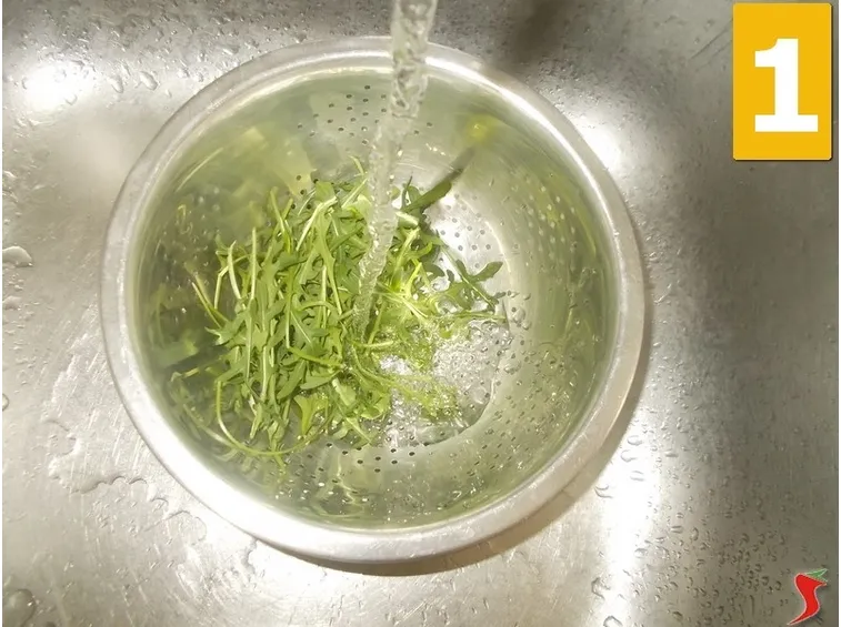 rucola