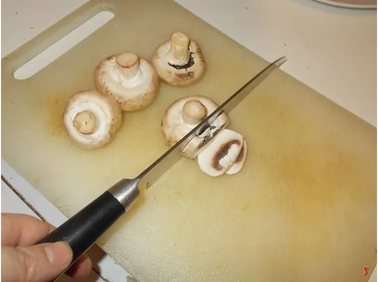 funghi
