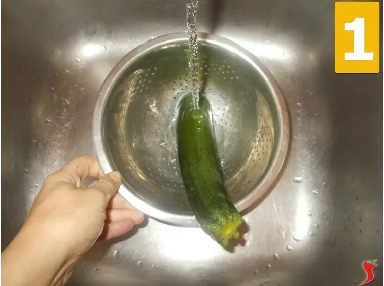 zucchina 