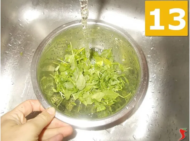 La rucola