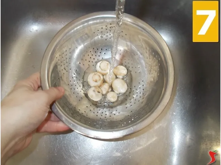 I funghi