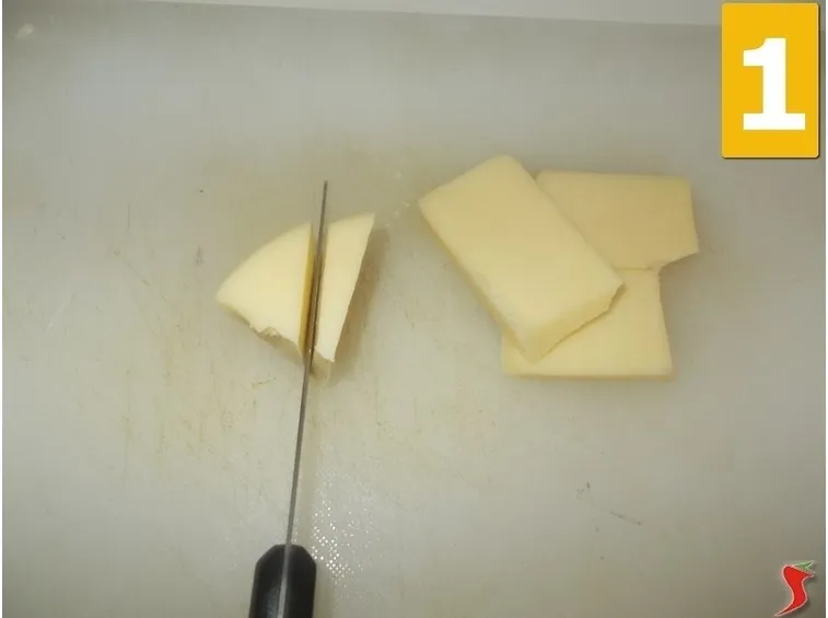 fontina