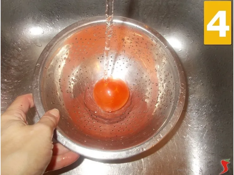 Il pomodoro