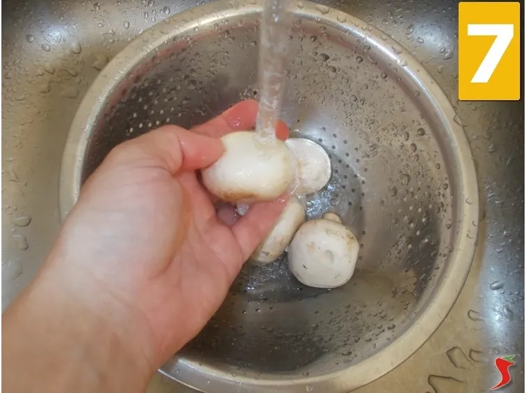 I funghi