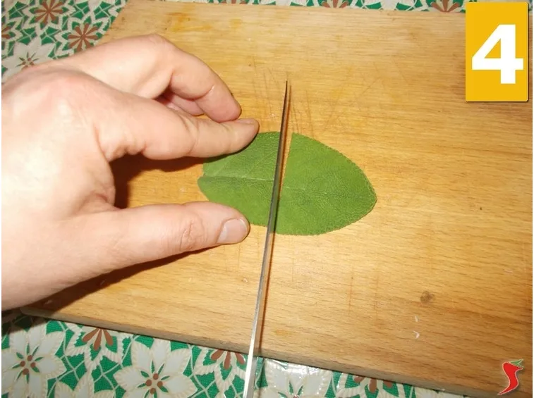 Spiedini salsiccia