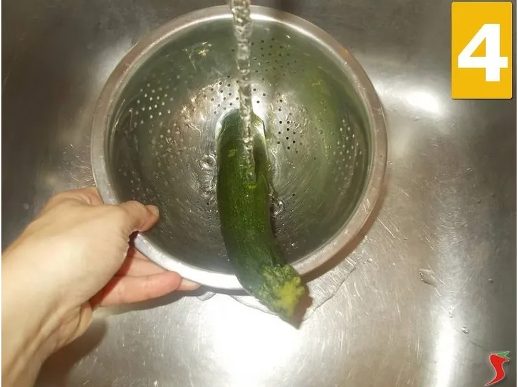 La zucchina
