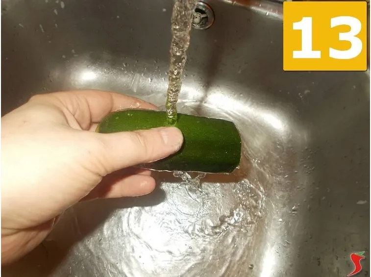 La zucchina