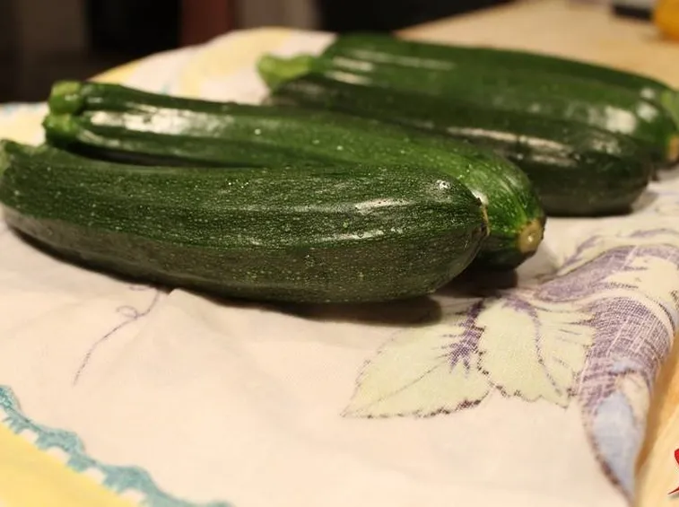 asciugare zucchine