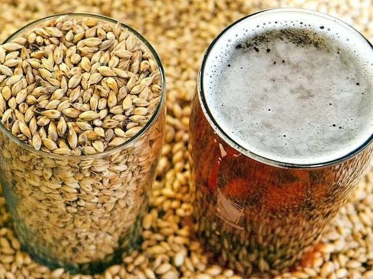 malto per birra