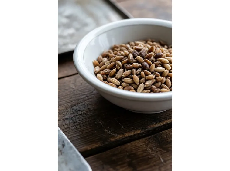 Caffe d orzo