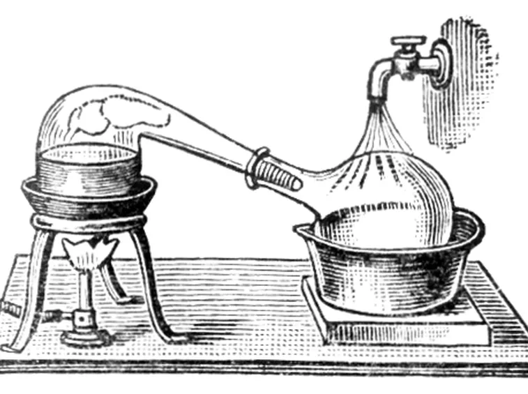 grappa