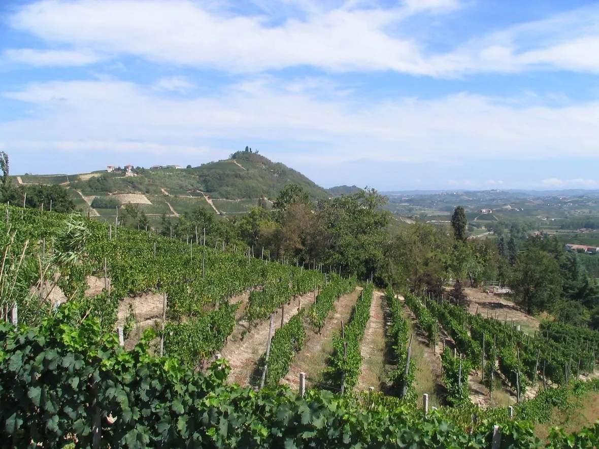 Dolce con dolce: la regola che rende l'abbinamento riuscito