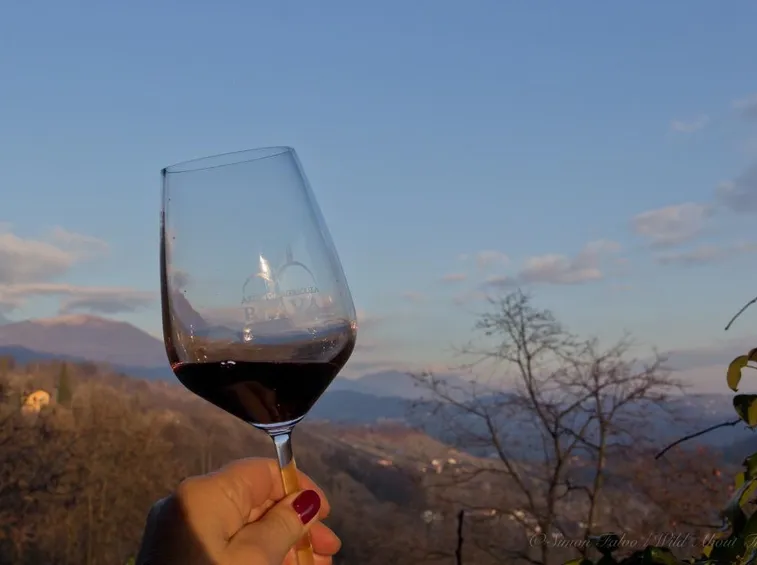 Il Moscato di Scanzo