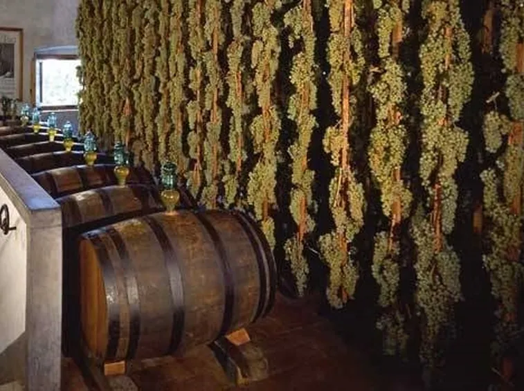 vin santo
