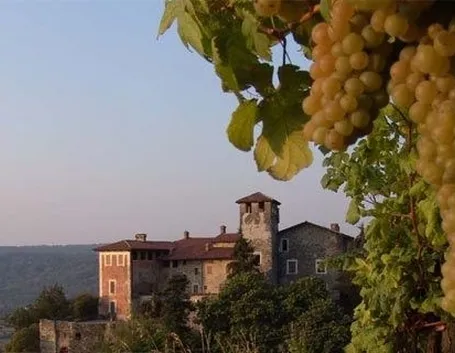 canavese