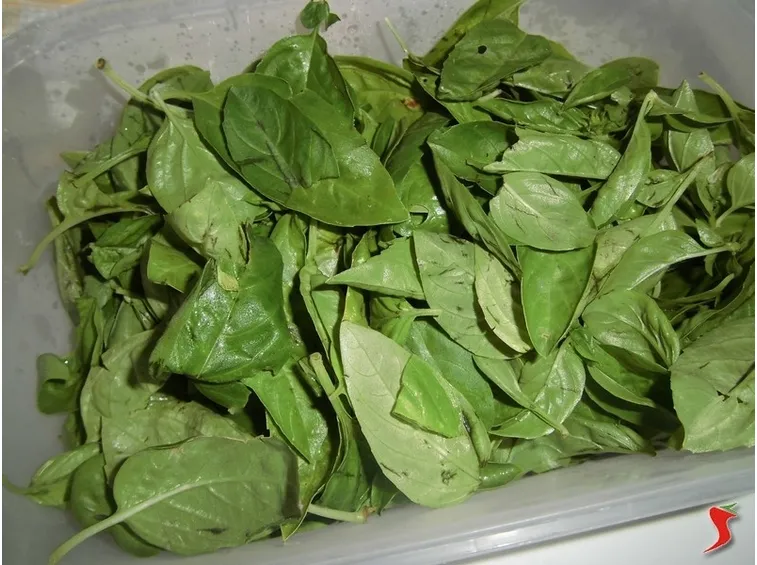 Ingredienti