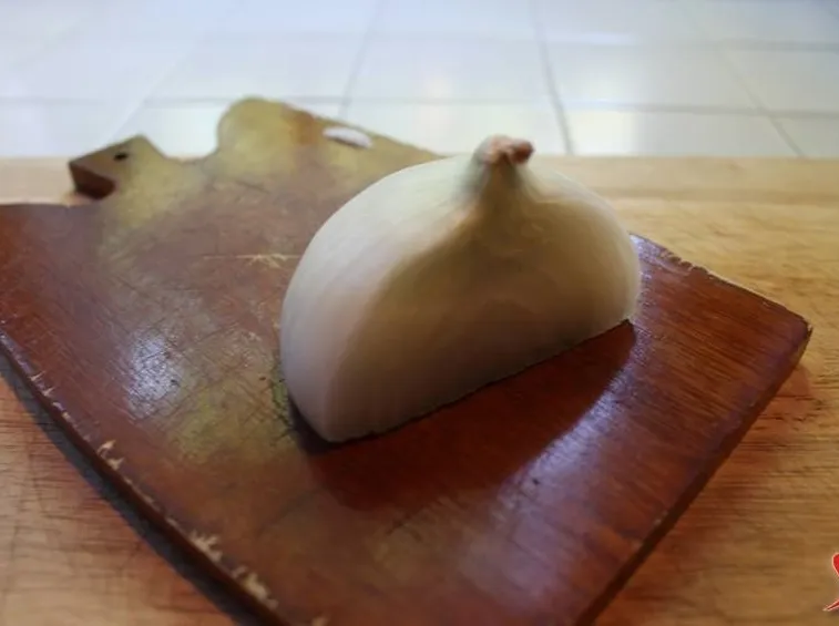 cipolla