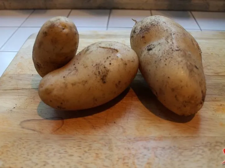 patate