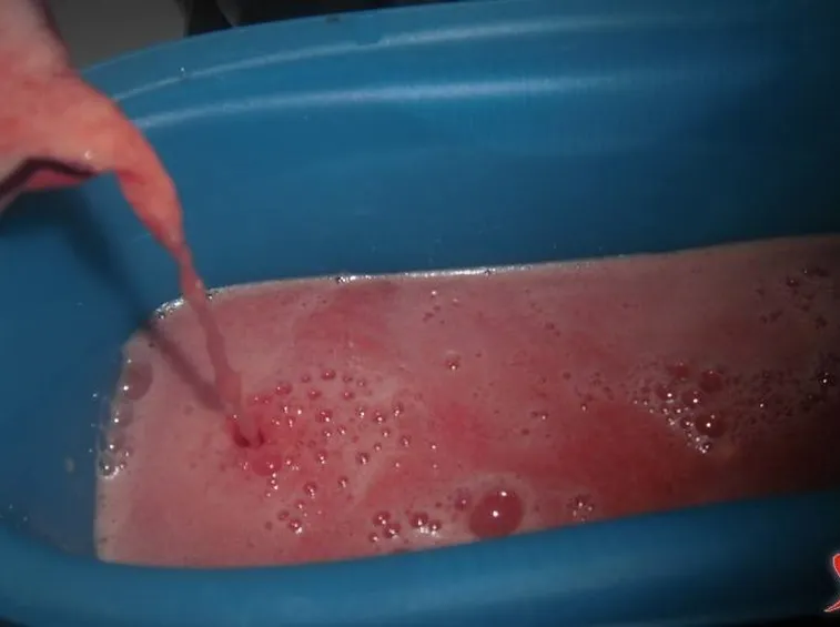 granita 