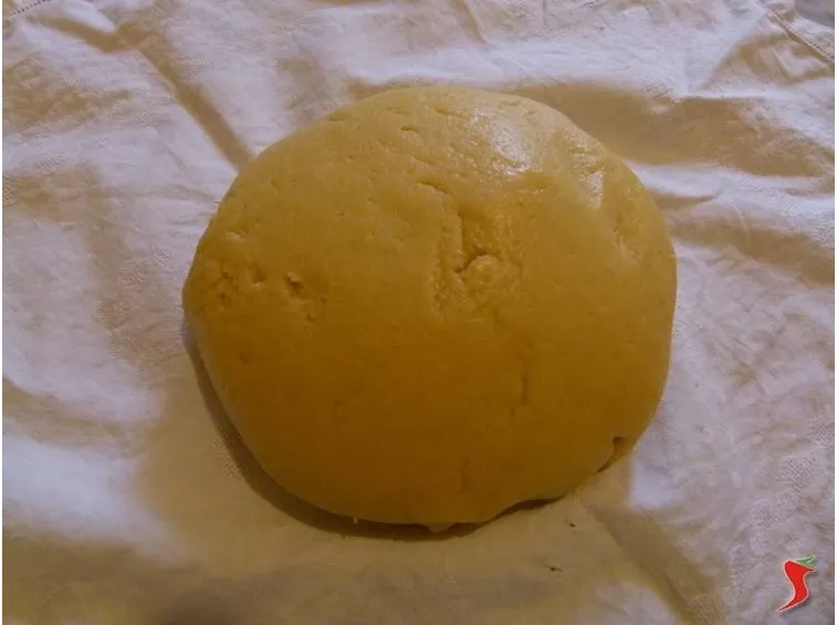 fari riposare l'impasto