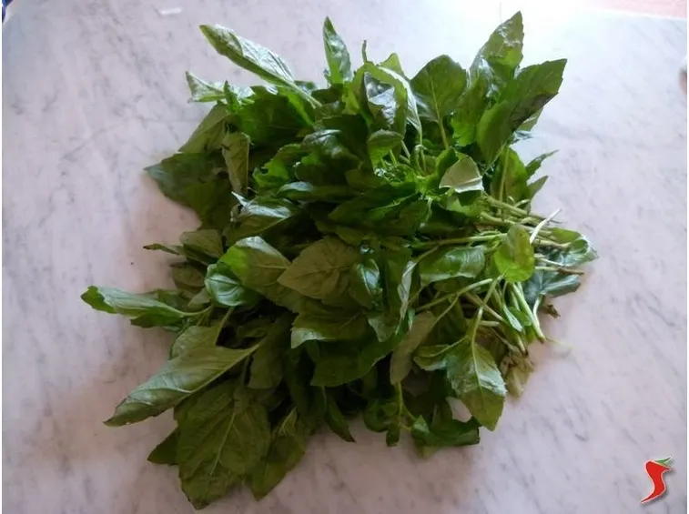 basilico