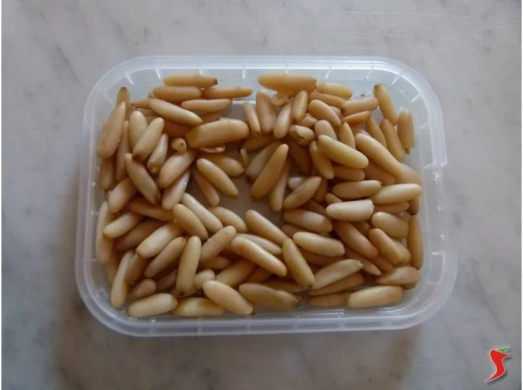 pinoli