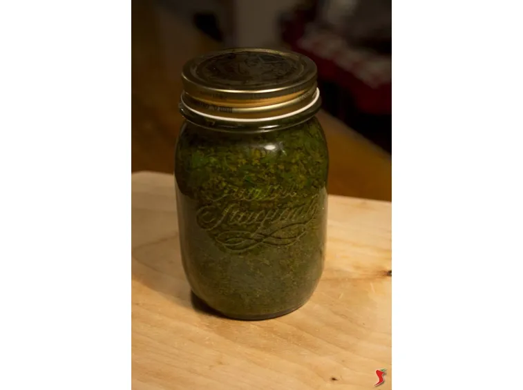 barattolo di pesto