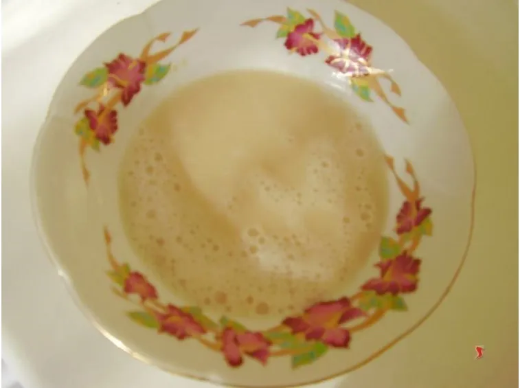 lievito di birra sciolto
