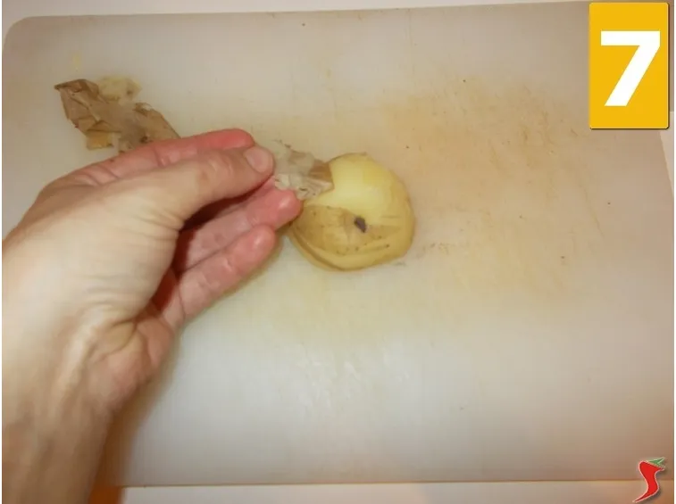 Proseguite la ricetta