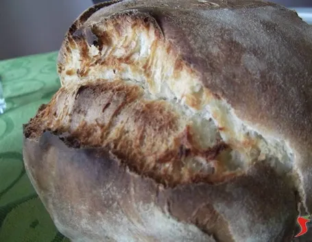 filone di pane casereccio