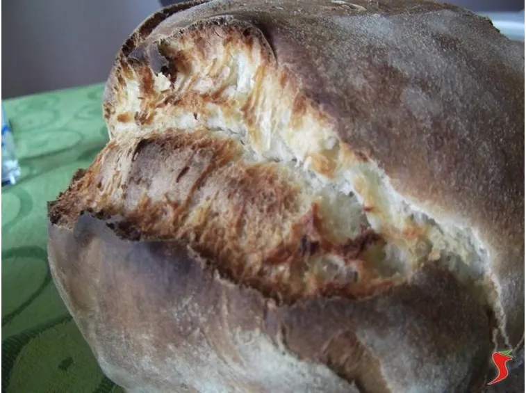 filone di pane casereccio