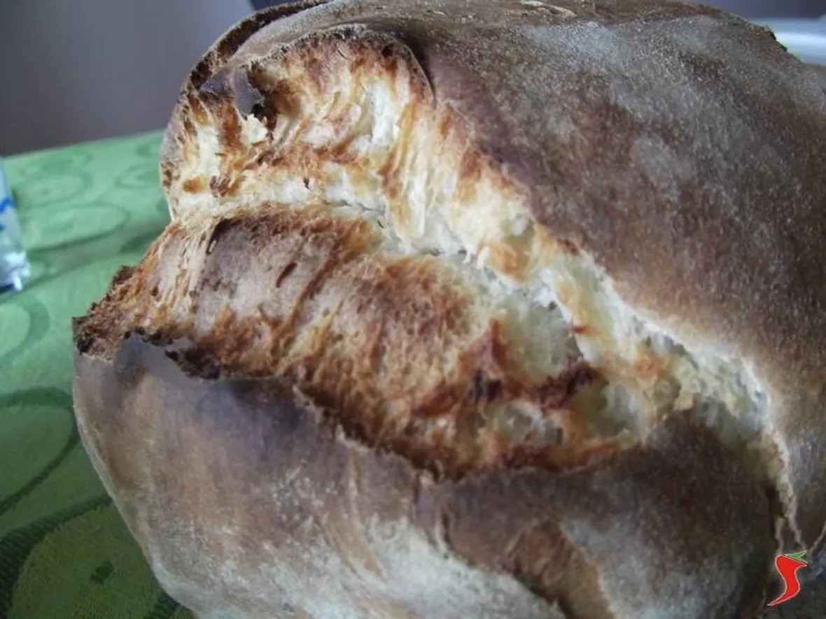 filone di pane casereccio