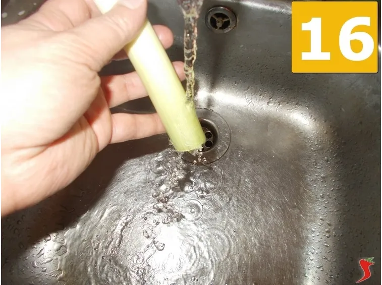 porro