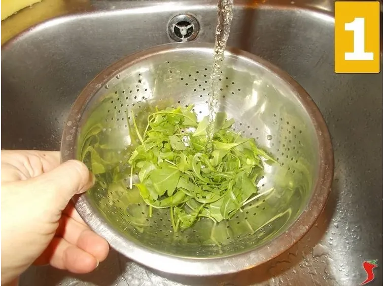 La rucola
