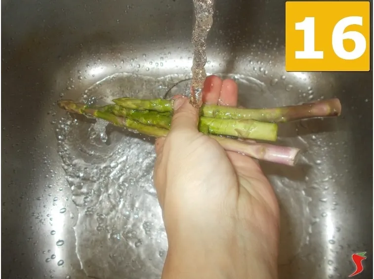 Gli asparagi