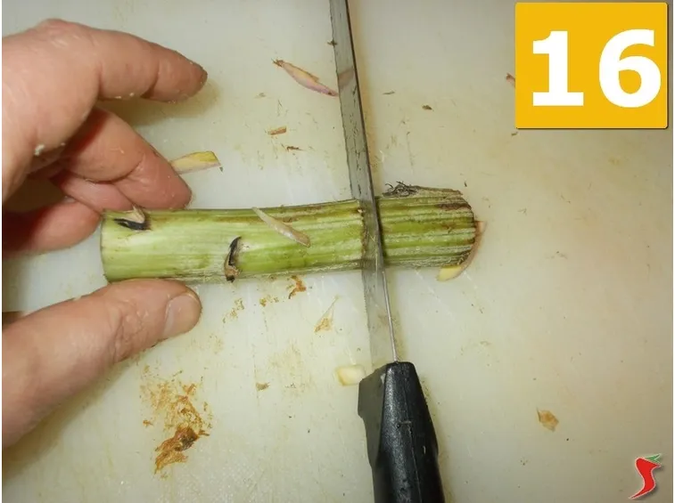 carciofi