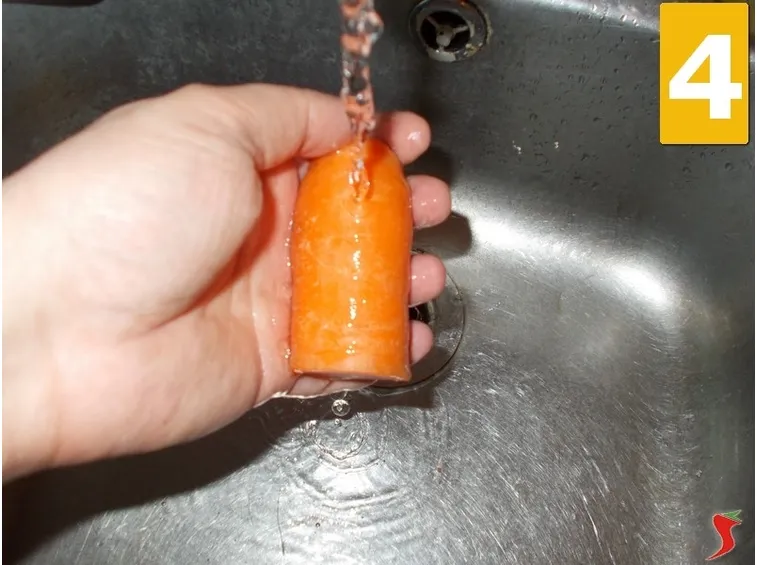 carota