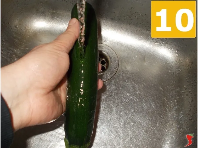 La zucchina
