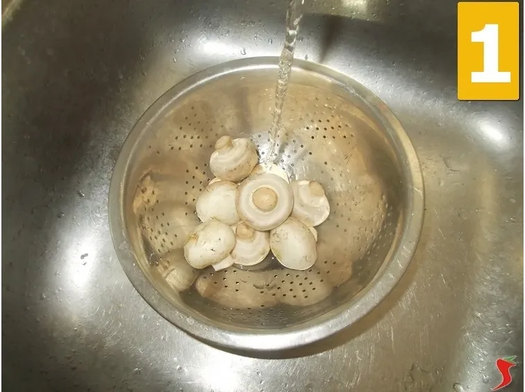 I funghi