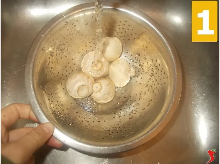 I funghi