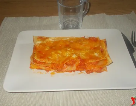 Lasagne light