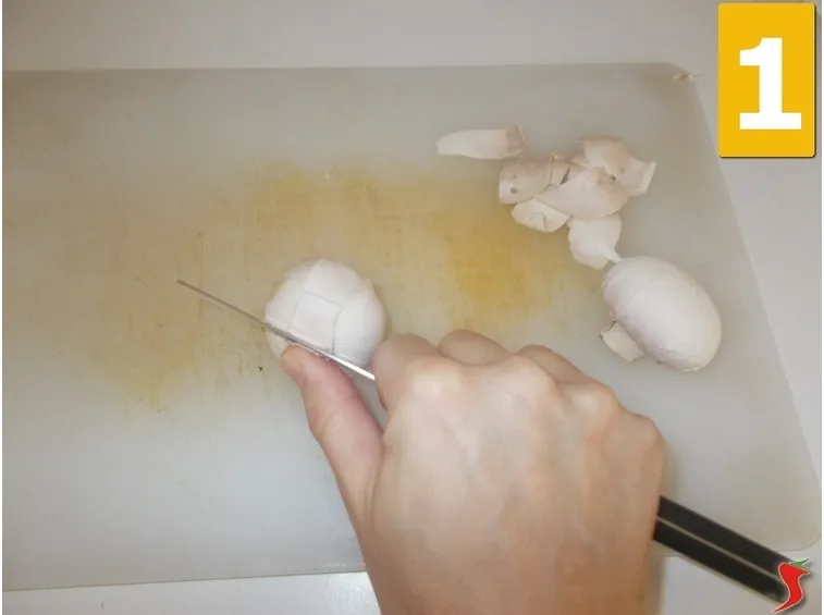 funghi