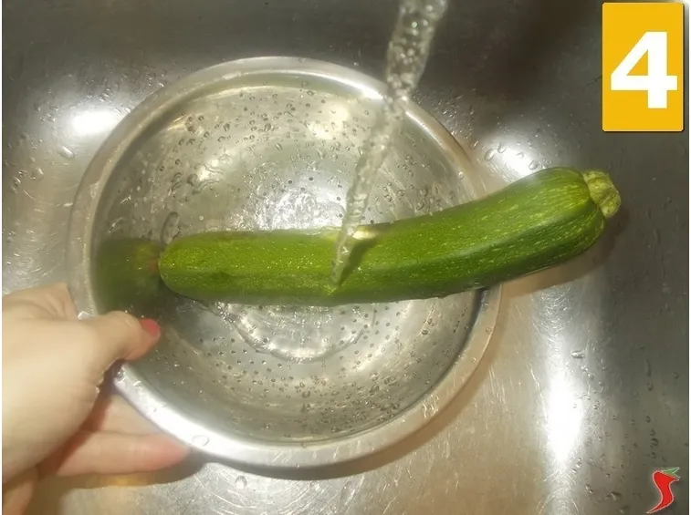 La zucchina