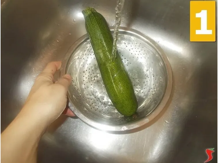 zucchina