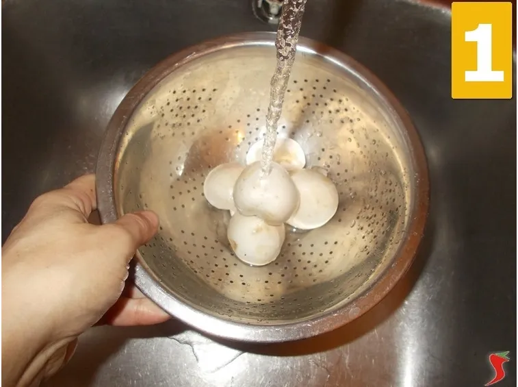 Lavorate i funghi