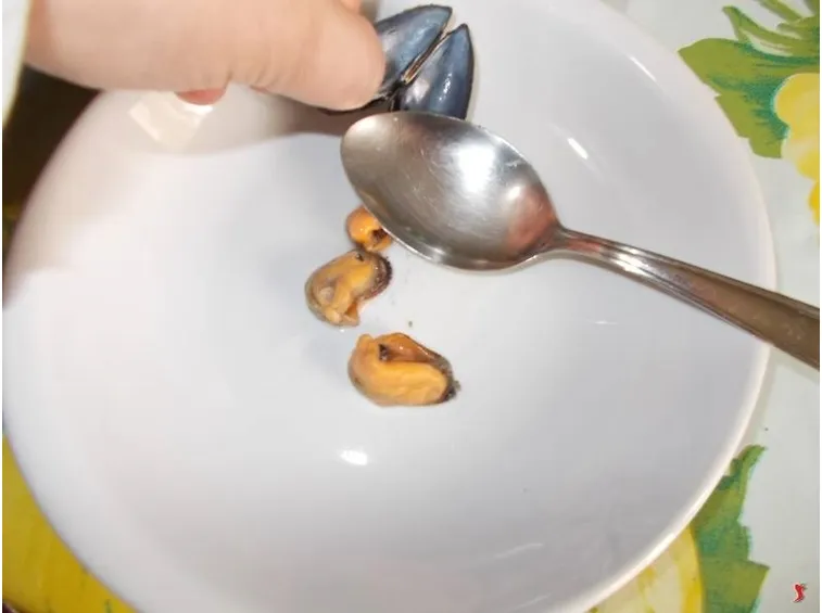 cozze
