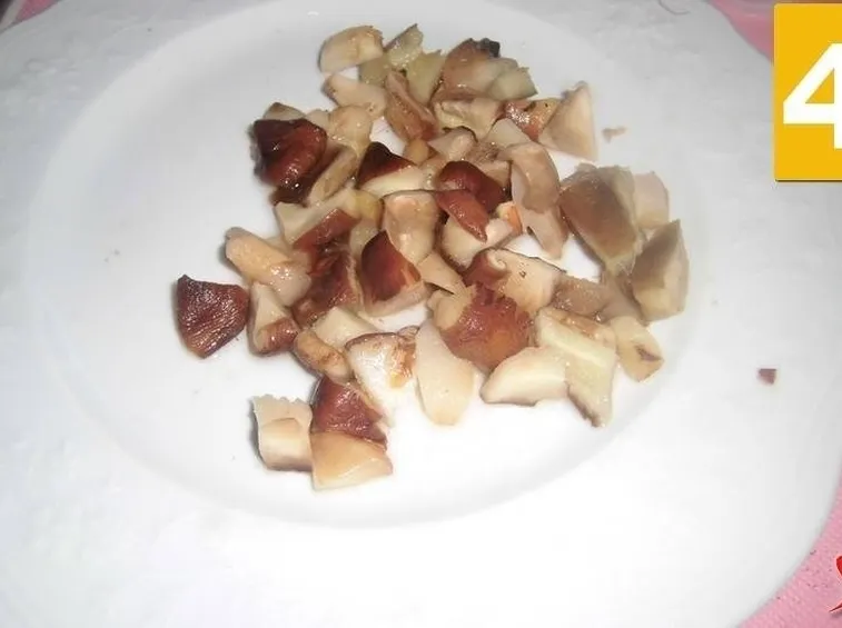 funghi