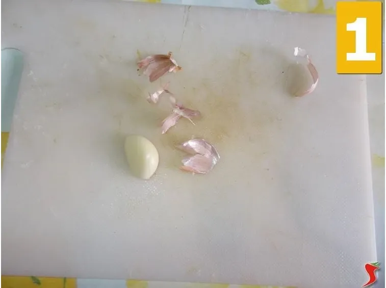 molluschi